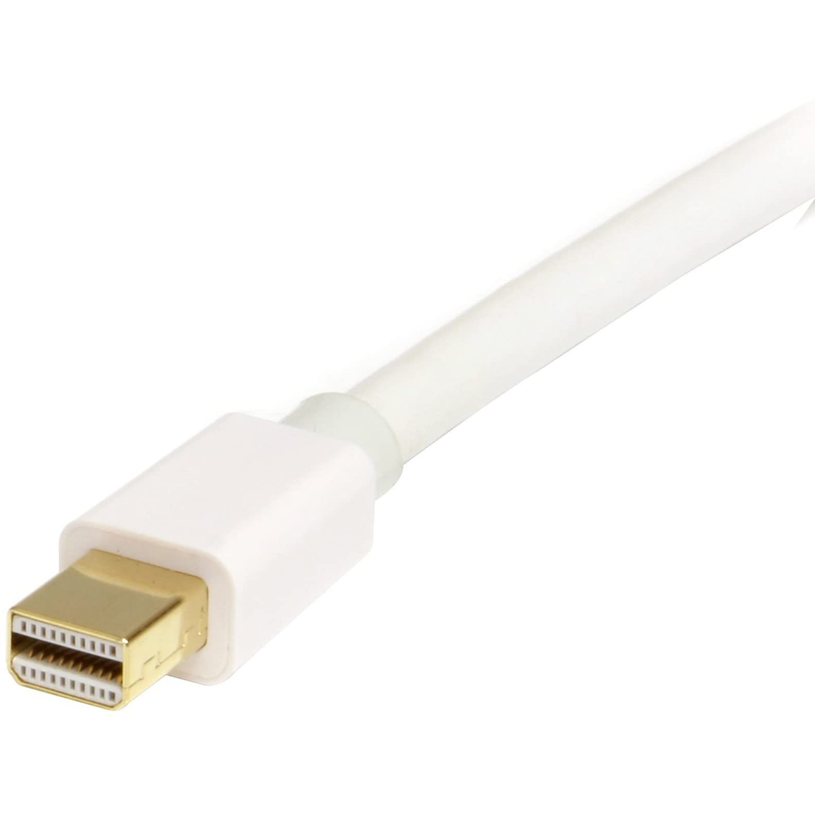 startech-com-c-ble-mini-displayport-vers-displayport-1-2-2-m-blanc-4k-mdp2dpmm2m image 3