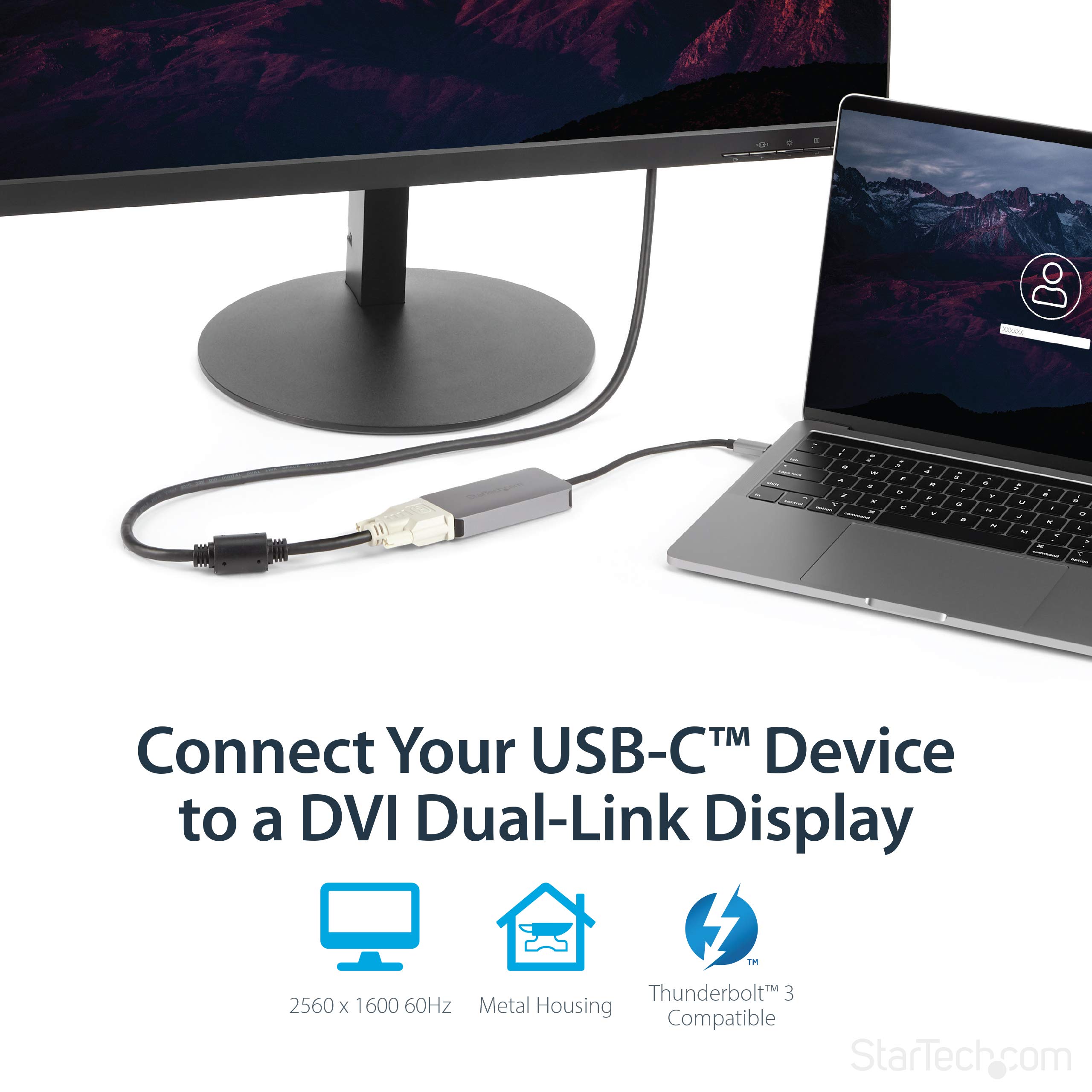 startech-com-cdp2dvidp-adaptateur-usb-c-vers-dvi-i-dual-link-2560x1600 image 2