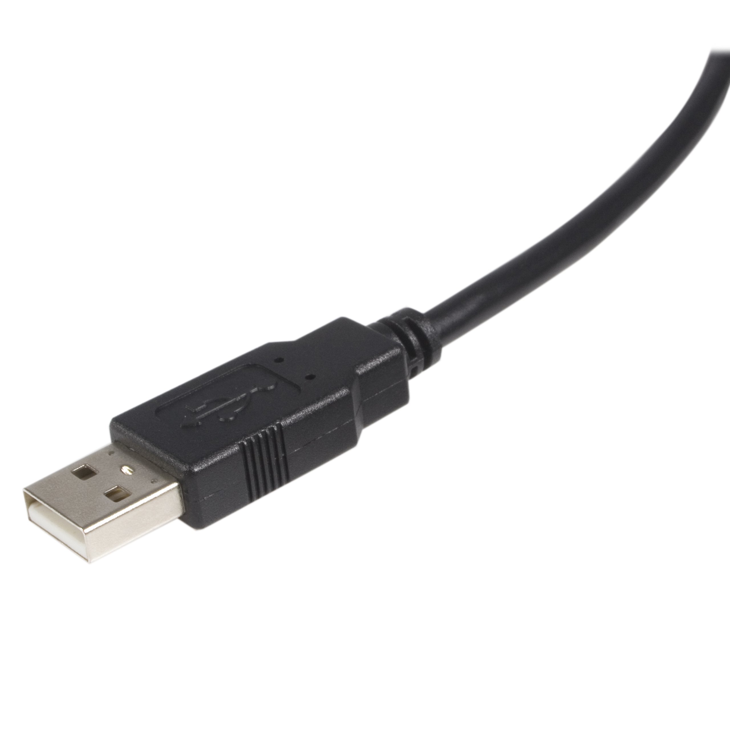 startech-com-c-ble-usb-2-0-usb-a-vers-usb-b-m-m-1-8-m-noir-usb2hab6 image 2