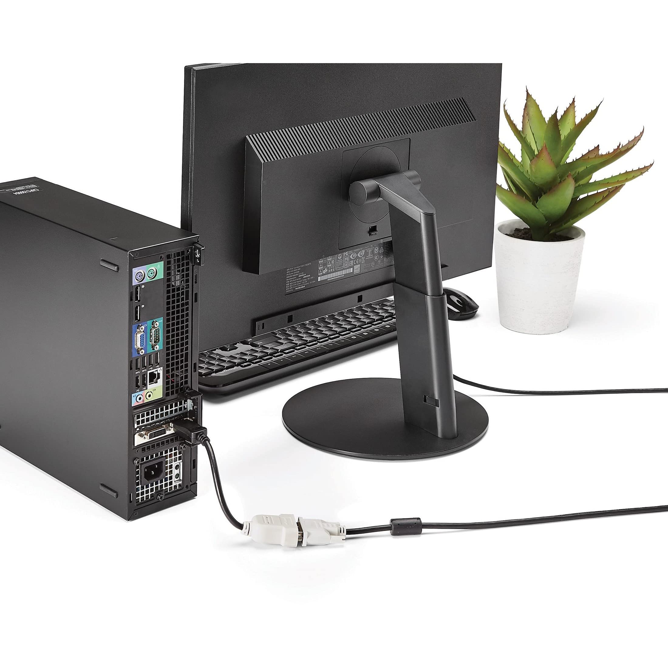 startech-com-adaptateur-displayport-vers-dvi-d-passif-1920x1200-dp2dvi image 4