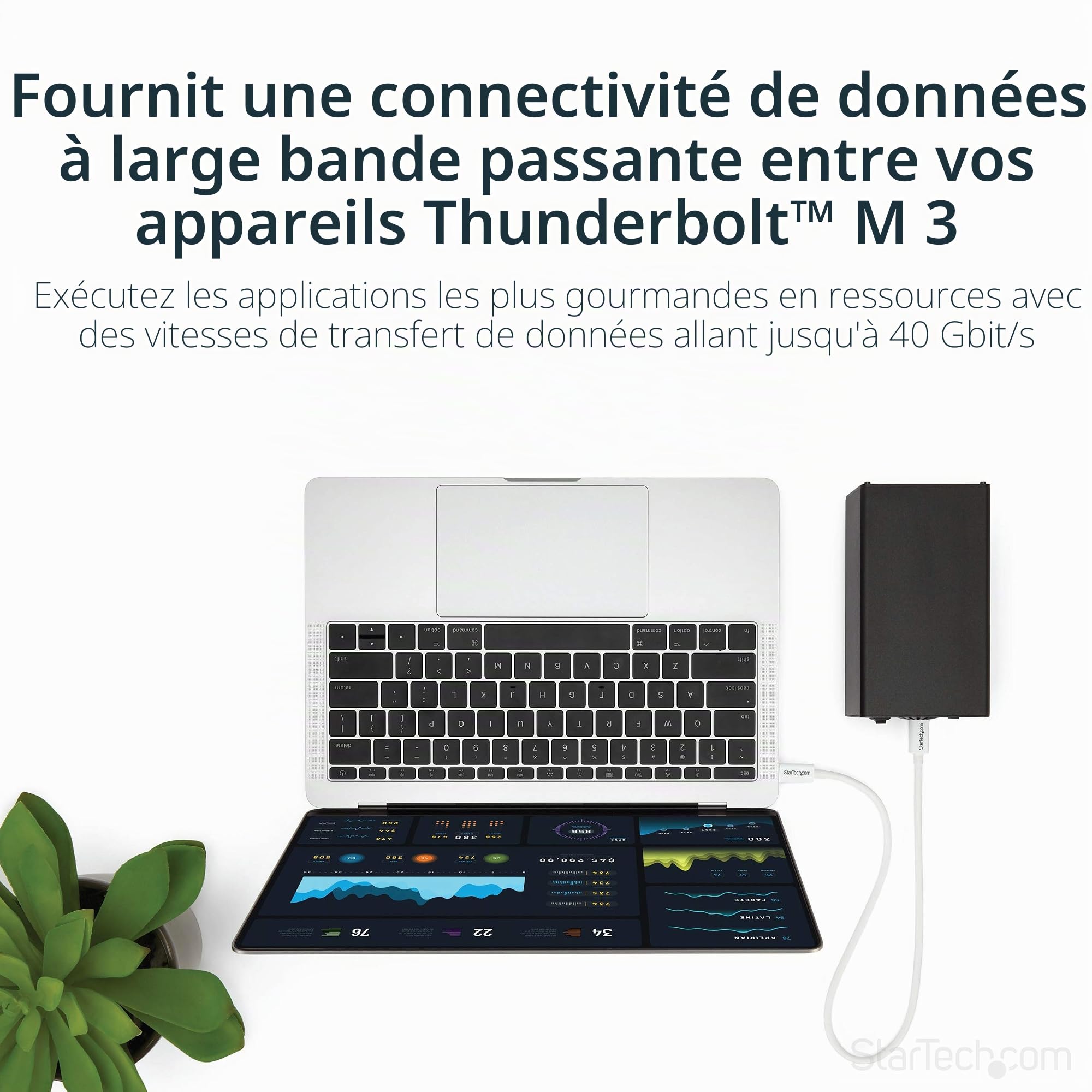 startech-com-c-ble-thunderbolt-3-passif-0-5m-40gbps-100w-blanc image 2