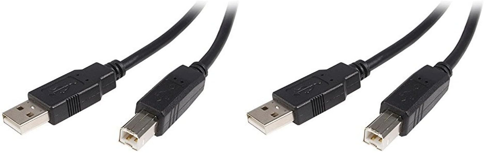 startech-com-c-ble-usb-2-0-a-vers-b-1-m-m-m image 2