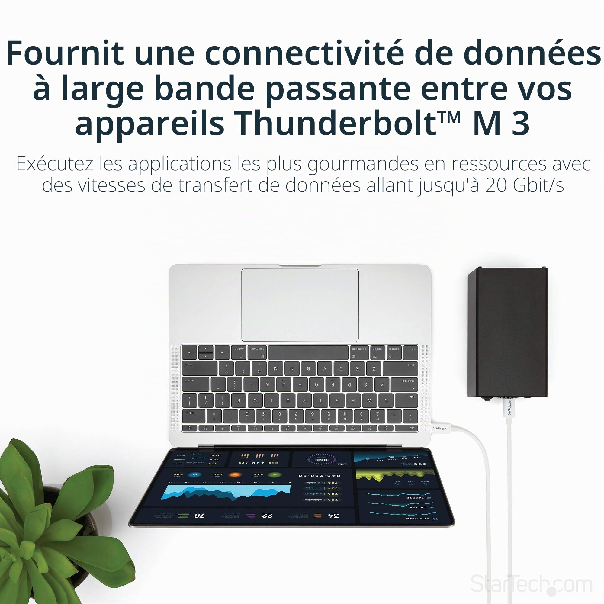 startech-com-c-ble-thunderbolt-3-passif-2-m-20-gbps-100w-pd-4k-usb-c-blanc image 2