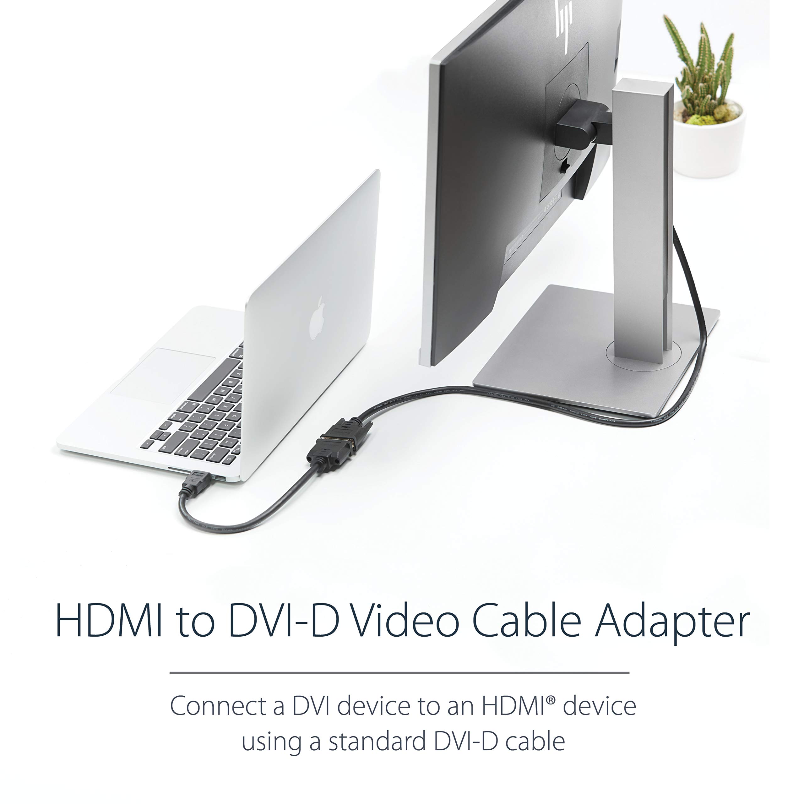startech-com-hddvimf8in-c-ble-adaptateur-hdmi-m-le-vers-dvi-d-femelle-20-cm image 2