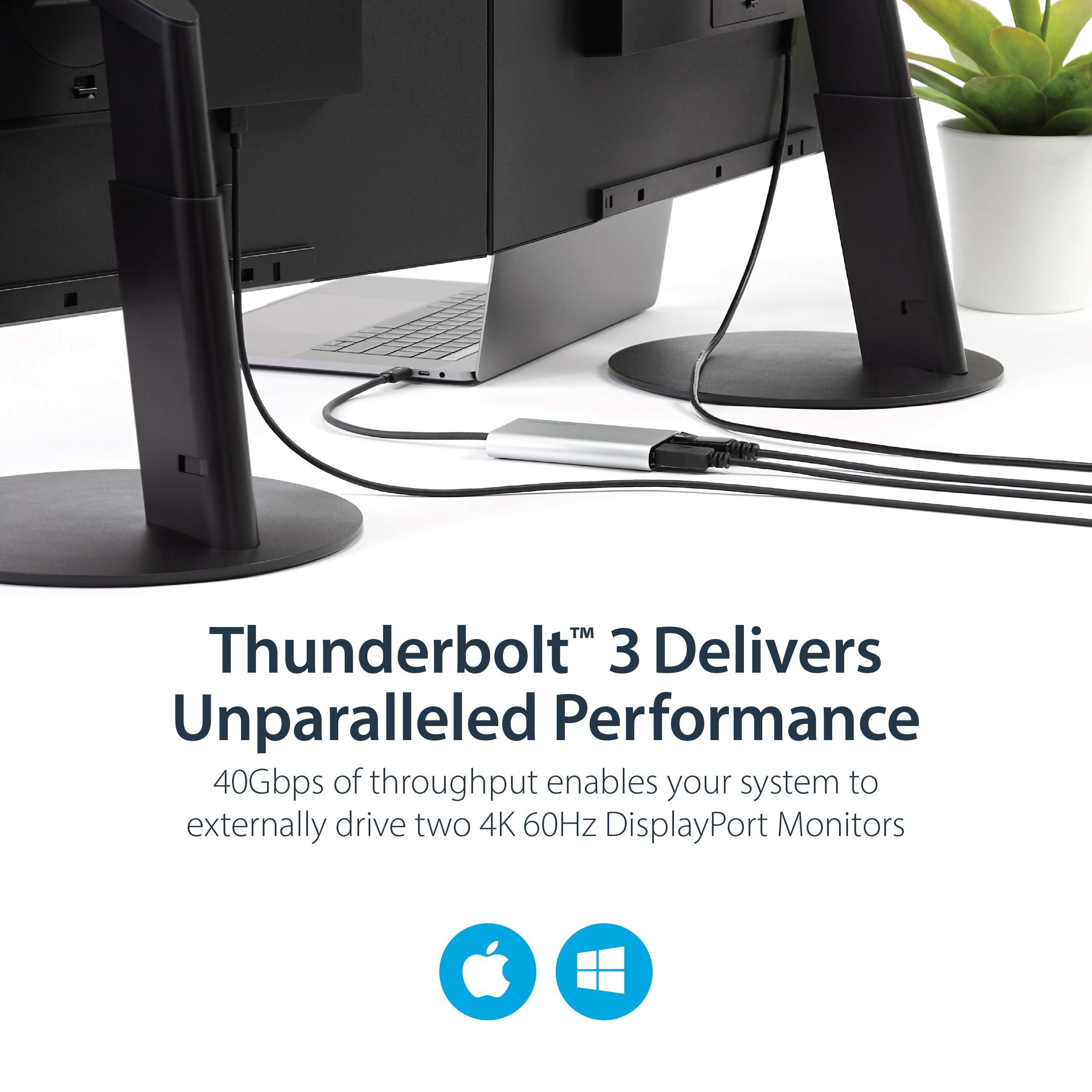 startech-com-tb32dp2t-adaptateur-thunderbolt-3-vers-double-displayport-4k-60hz image 3