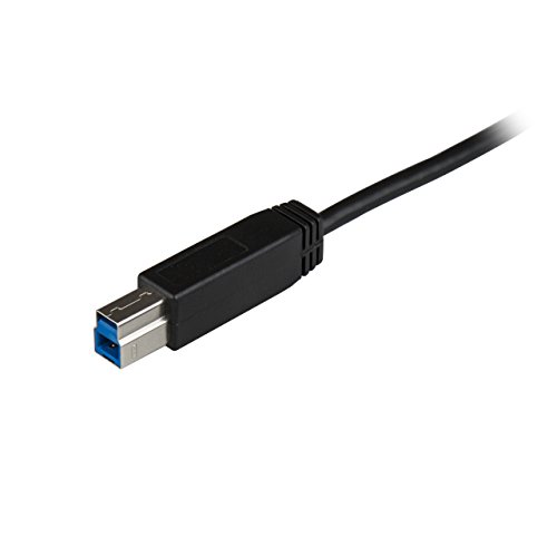 startech-com-c-ble-usb-c-vers-usb-b-1-m-10-gbps-usb-3-2-gen-2-usb31cb1m-noir image 8