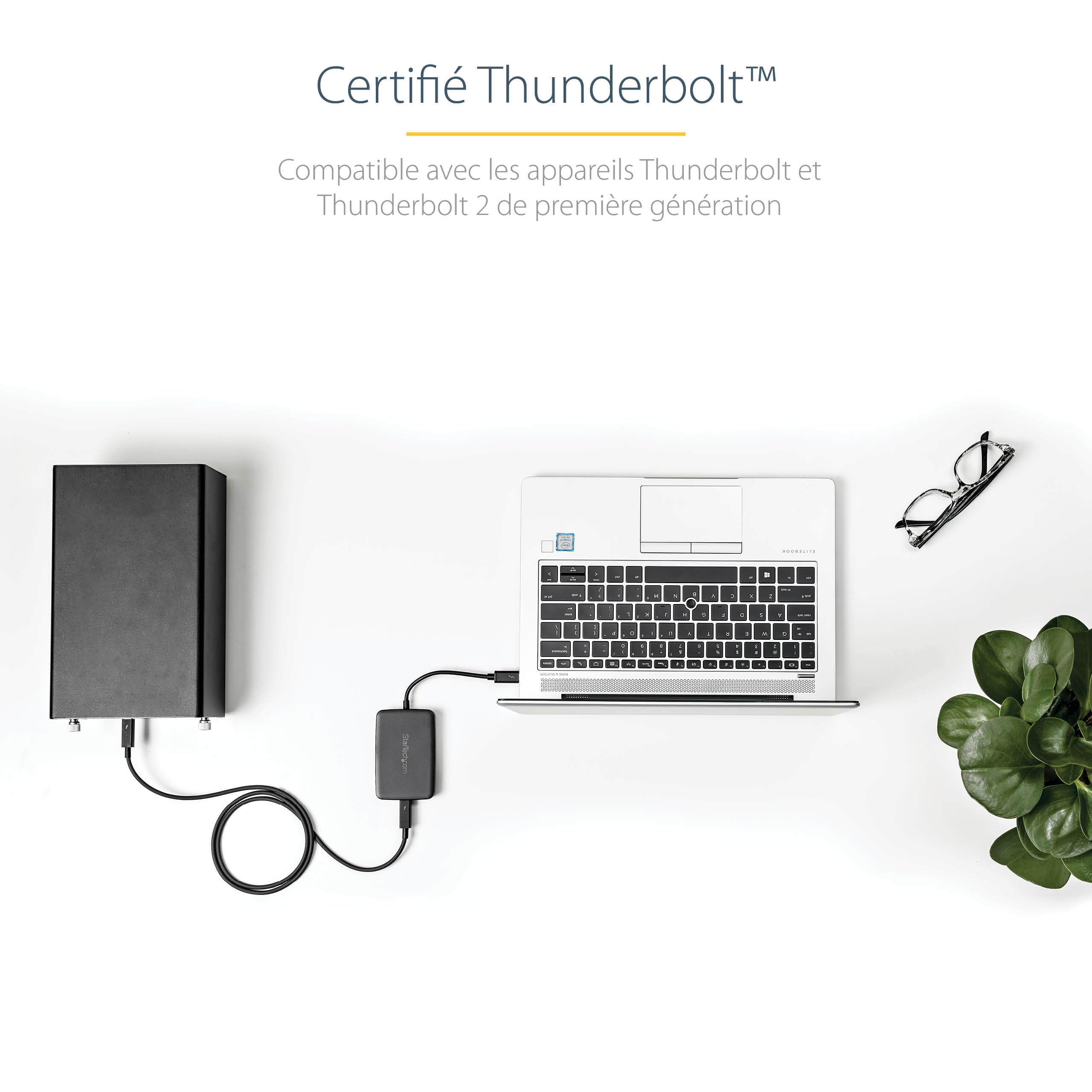 startech-com-tbt3tbtadap-adaptateur-thunderbolt-3-vers-thunderbolt-2-tb1 image 5