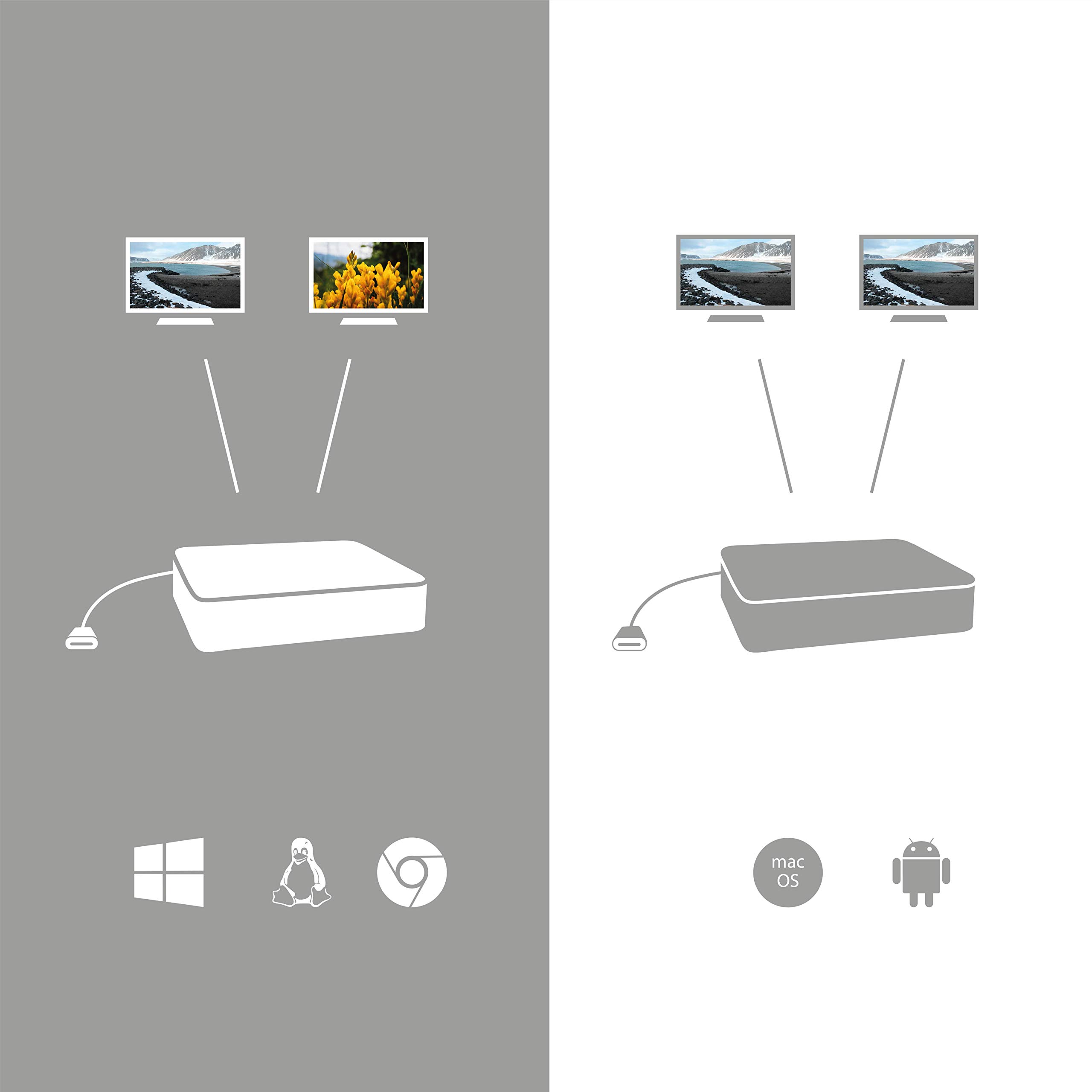 i-tec-adaptateur-usb-c-vers-2x-displayport-4k-30hz-c-ble-30-cm image 2