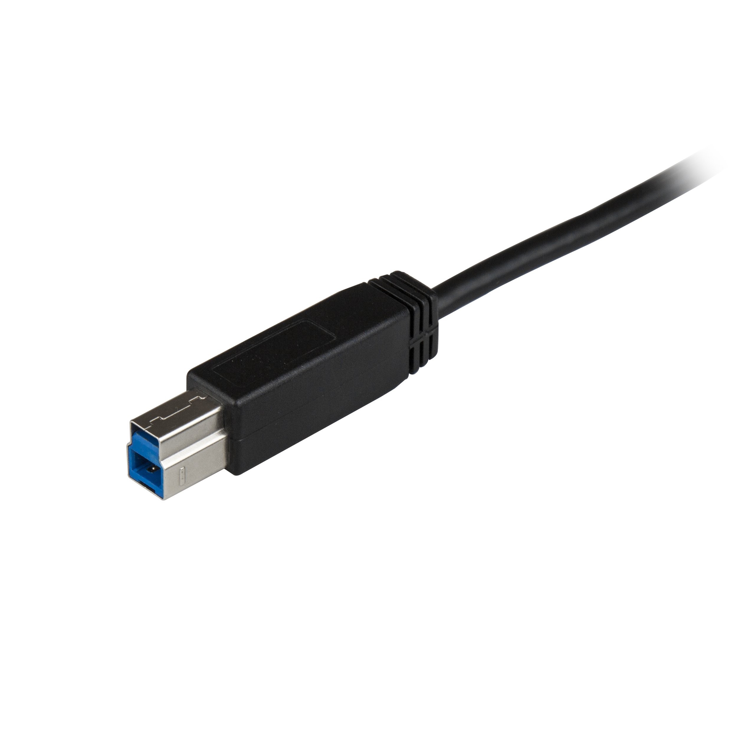 startech-com-c-ble-usb-c-vers-usb-b-1-m-10-gbps-usb-3-2-gen-2-usb31cb1m-noir image 2